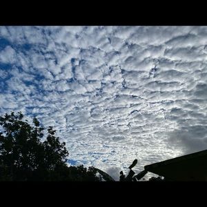 Meet your Posher, Bria